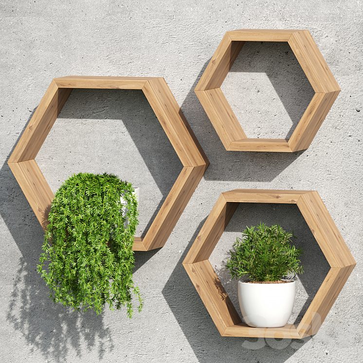NAUMOO Natural Wood Hexagon Shelves Indoor 3D model