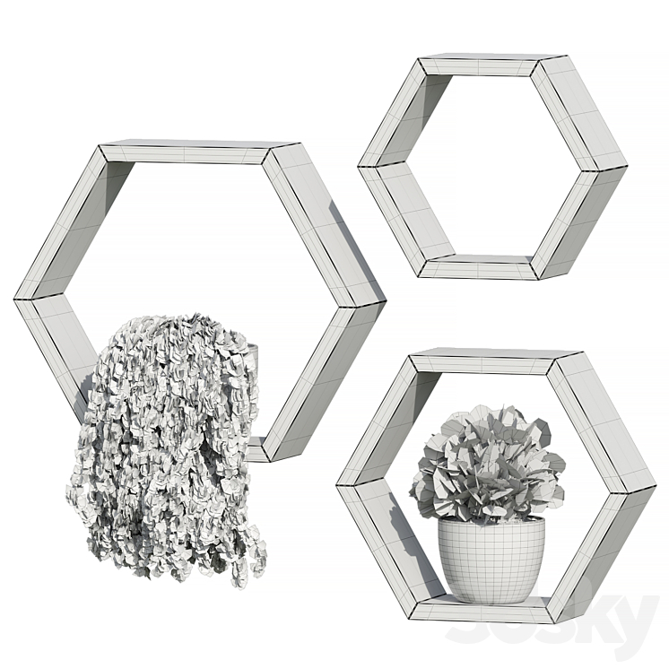 NAUMOO Natural Wood Hexagon Shelves Indoor 3D model