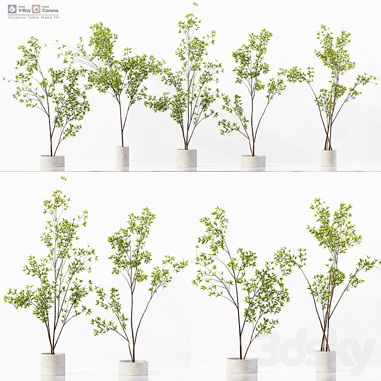 Collection Indoor Plants 033 3DS Max Model - thumbnail 1