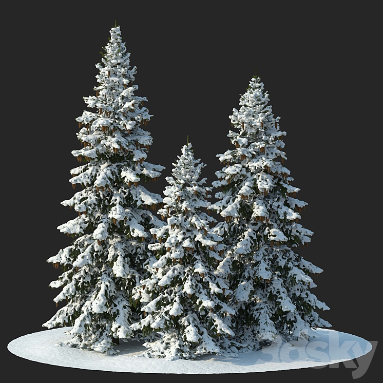 Winter spruces (Winter spruces) 3D Model