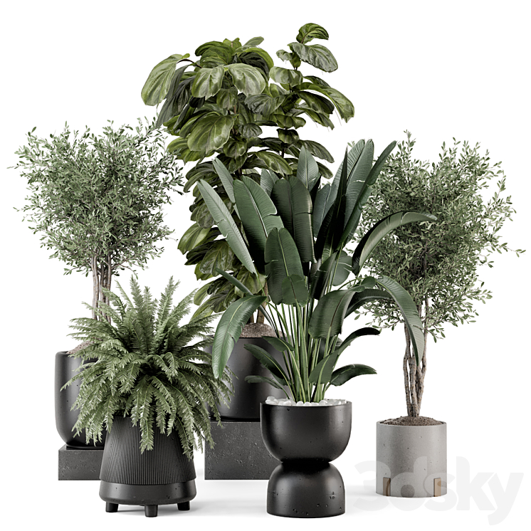 Indoor Plants in Ferm Living Bau Pot Large – Set 1277 3D Model