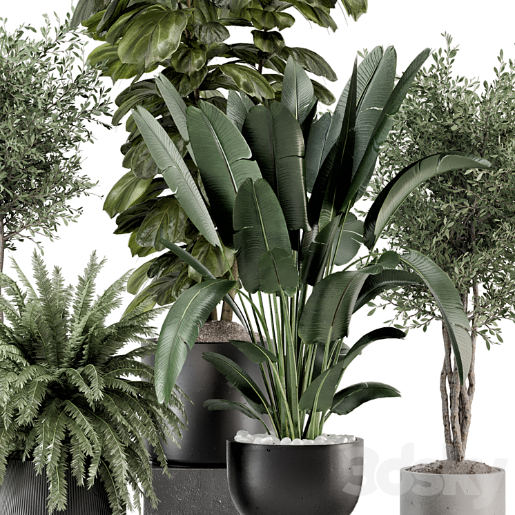 Indoor Plants in Ferm Living Bau Pot Large – Set 1277 3DS Max - thumbnail 2