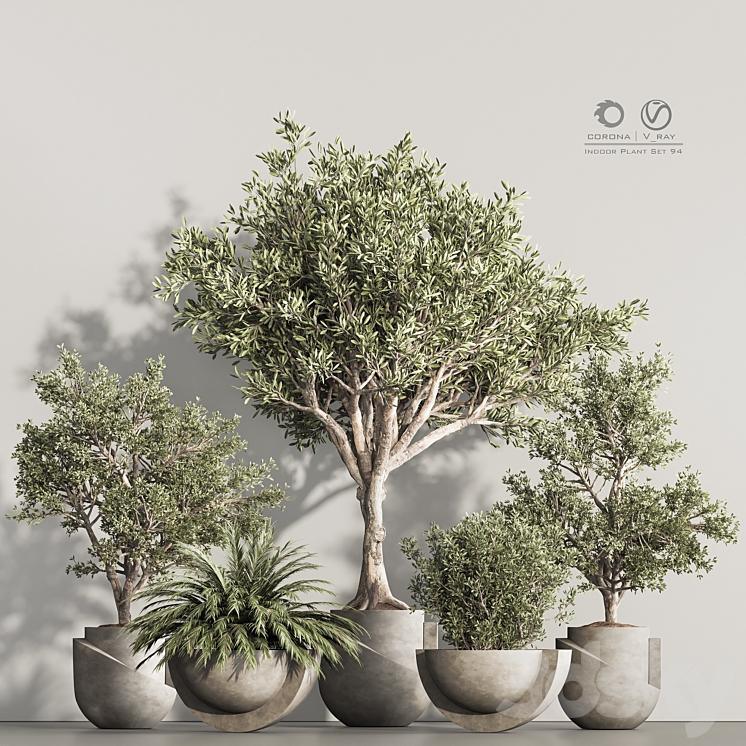 Indoor Plant Set 94 3D Model