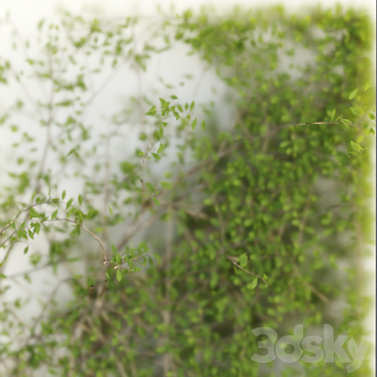 Plants in the light box vol 176 3D Model Free
