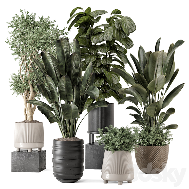 Indoor Plants in rusty Concrete Pot – Set 1291 3D Model