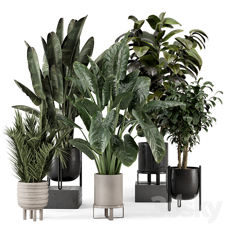 Indoor Plants in Ferm Living Bau Pot Large – Set 1292 3D Model