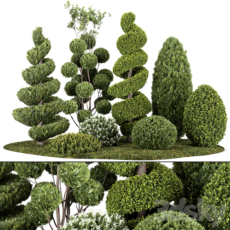 Group outdoor plants & Hedges 3D Model