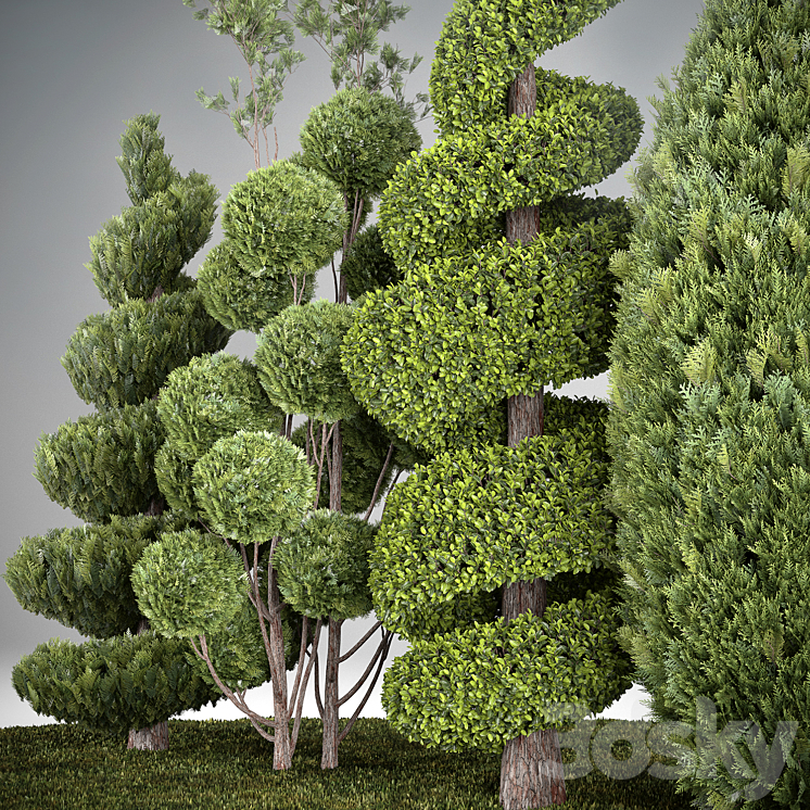 Group outdoor plants & Hedges 3DS Max Model - thumbnail 2