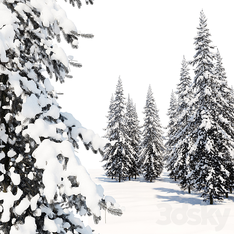 Winter Norway Spruce 02 3DS Max - thumbnail 2