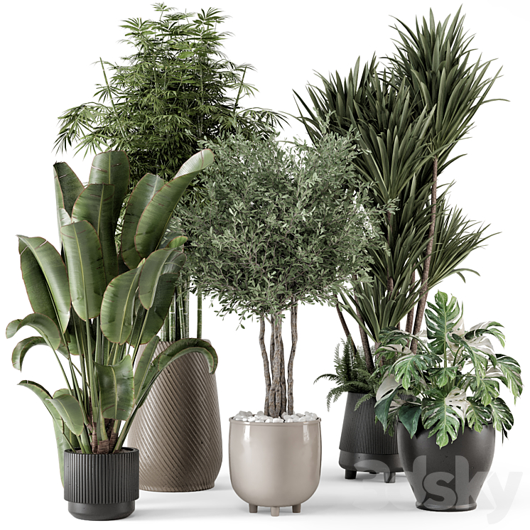Indoor Plants in Ferm Living Bau Pot Large – Set 1325 3D Model