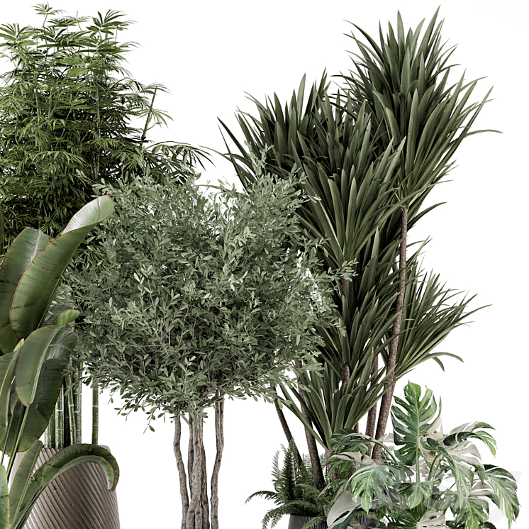 Indoor Plants in Ferm Living Bau Pot Large - Set 1325 3D Model Free