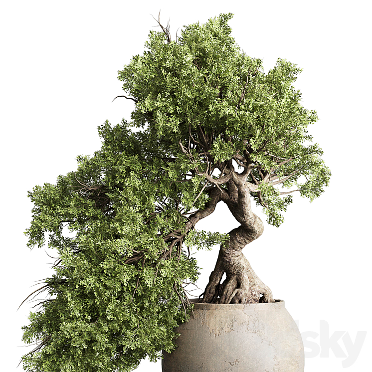 Bonsai tree in an old earthenware vase indoor plant 343 3DS Max Model - thumbnail 2