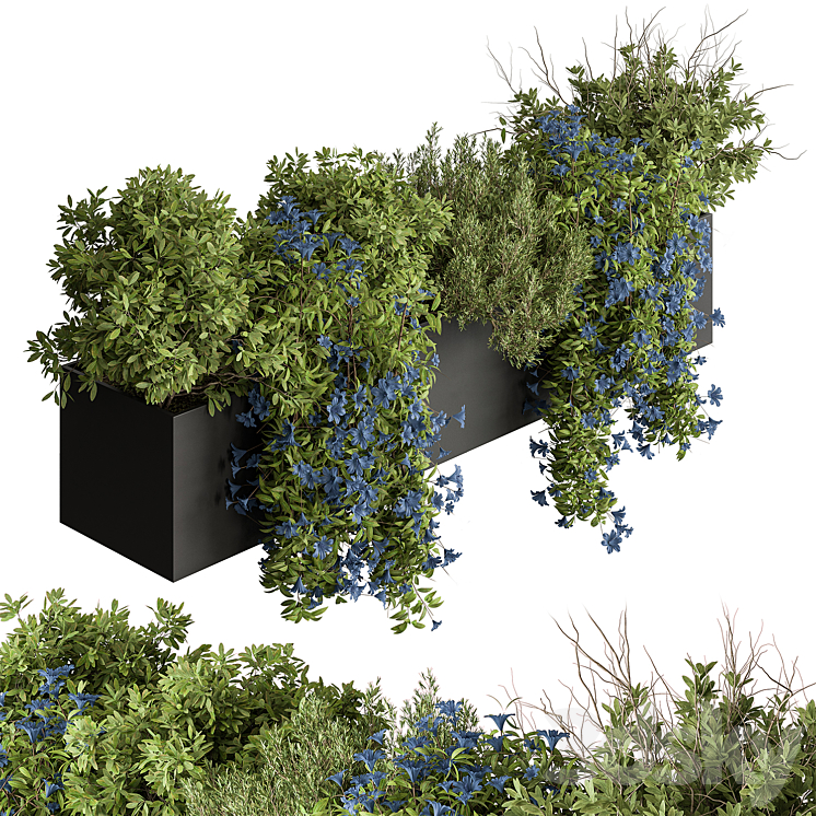 Hanging Plant – Outdoor Plants 503 3D Model