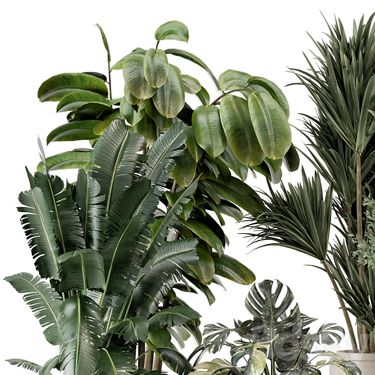 Indoor Plants in Ferm Living Bau Pot Large – Set 1328 3DS Max - thumbnail 2