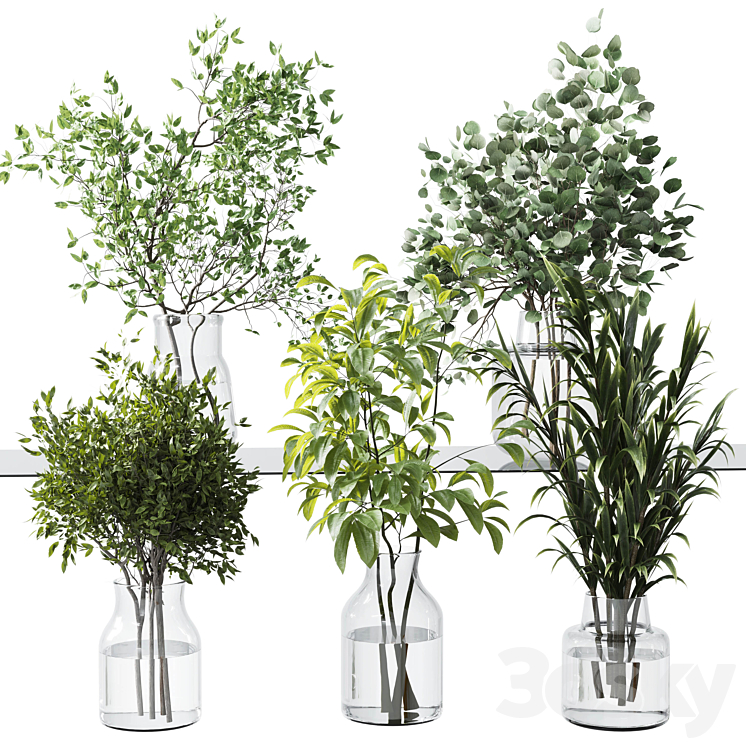 Collection Green Plants Bouquet Indoor 12 3D Model