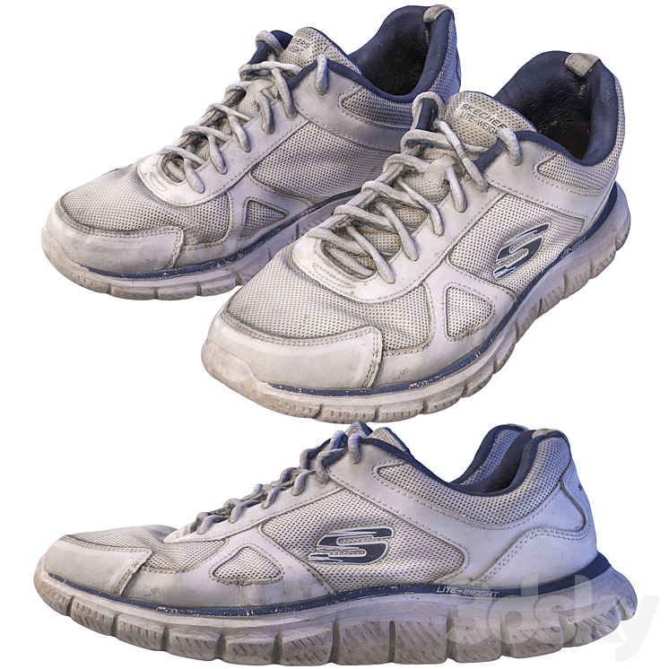 Old Skechers sneakers（model:4856849_Bioform_Vray,Corona）