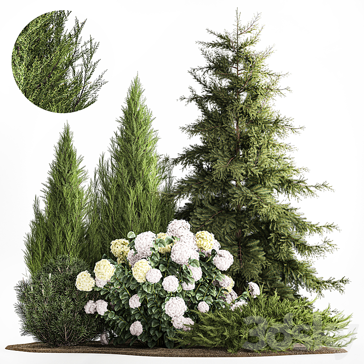 Garden of spruce pine topiary white hydrangea bush flowers juniper alpine hill. Plant set 1181 3D Model