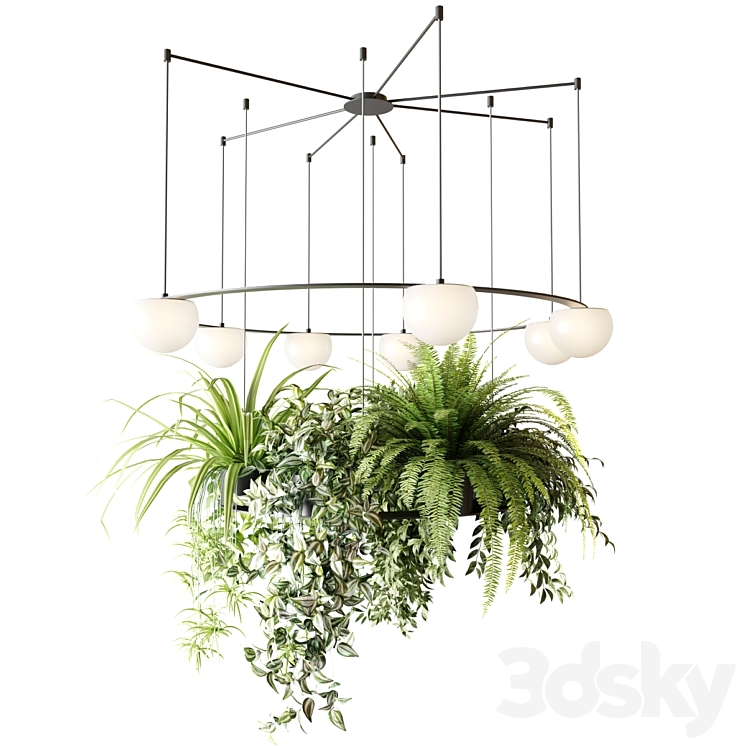 CIRC Suspension lamps Pendants chandelier with ampelous plants 3DS Max - thumbnail 1