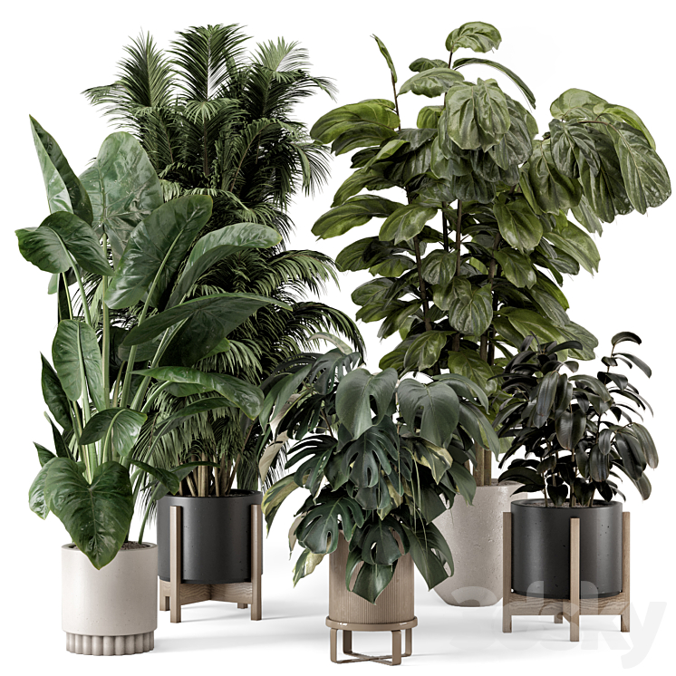 Indoor Plants in Ferm Living Bau Pot Large – Set 1361 3D Model