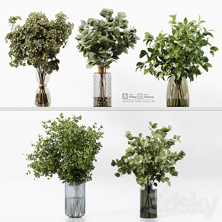 Collection Indoor Plants 041 3D Model