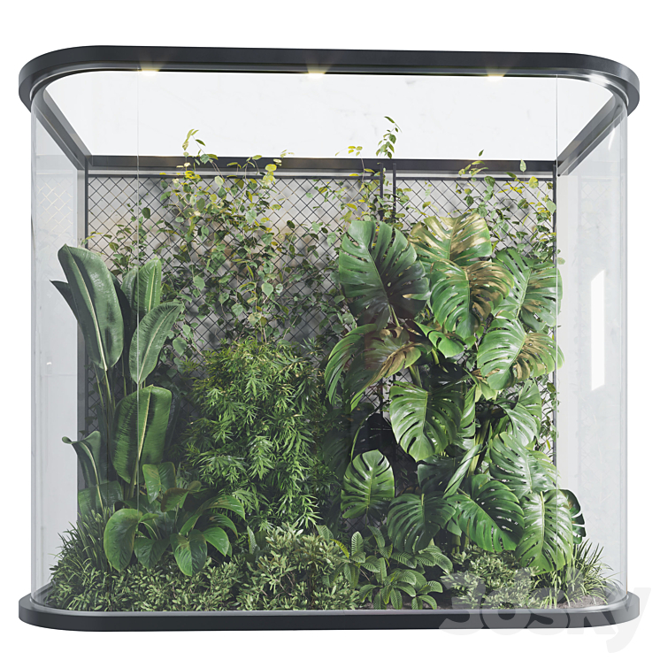 Plants Behind Galss 03 – indoor garden 3D Model