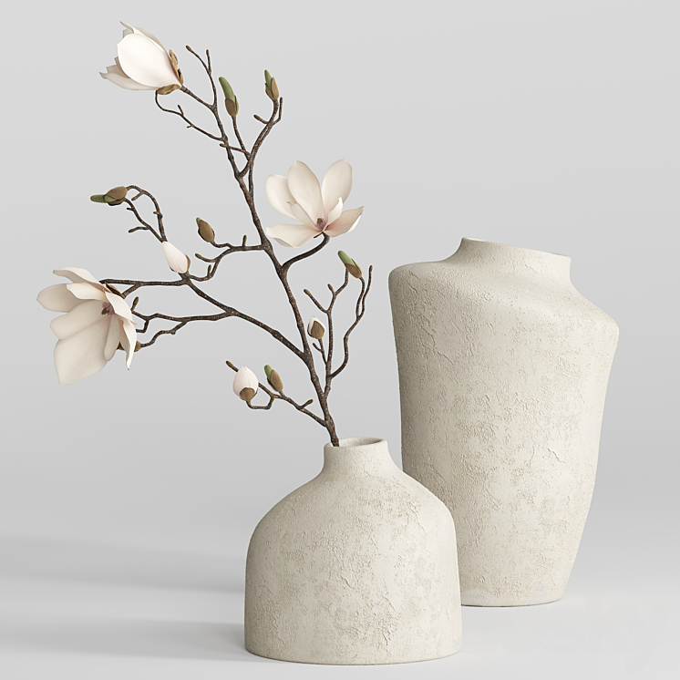 H&M vases with magnolia branch 3D Model