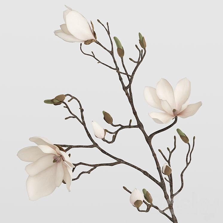 H&M vases with magnolia branch 3DS Max - thumbnail 2