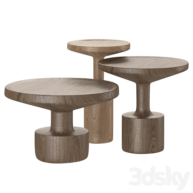 Wooden Coffee Tables Kigi by Linteloo 3D Model