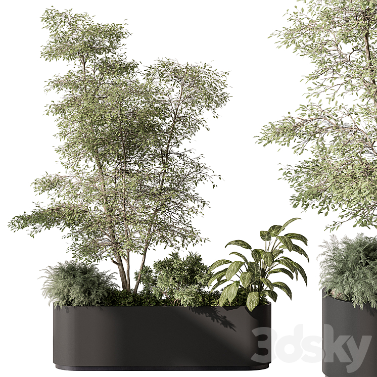 Plant Box – Outdoor Plants 515 3D Model