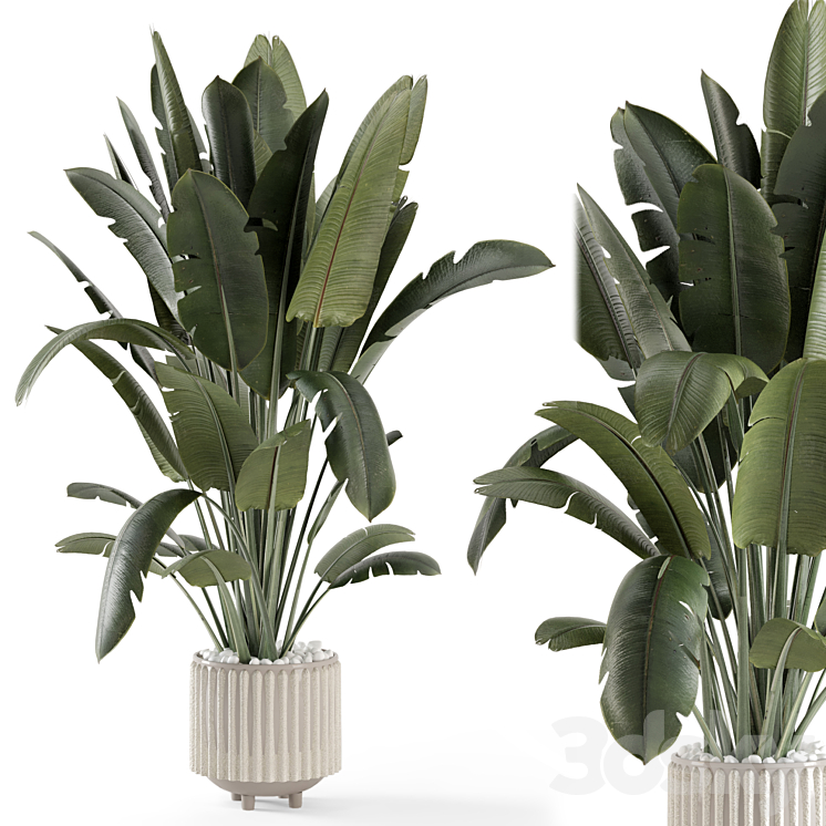 Indoor Plants in Ferm Living Bau Pot Large – Set 1448 3DS Max Model - thumbnail 2