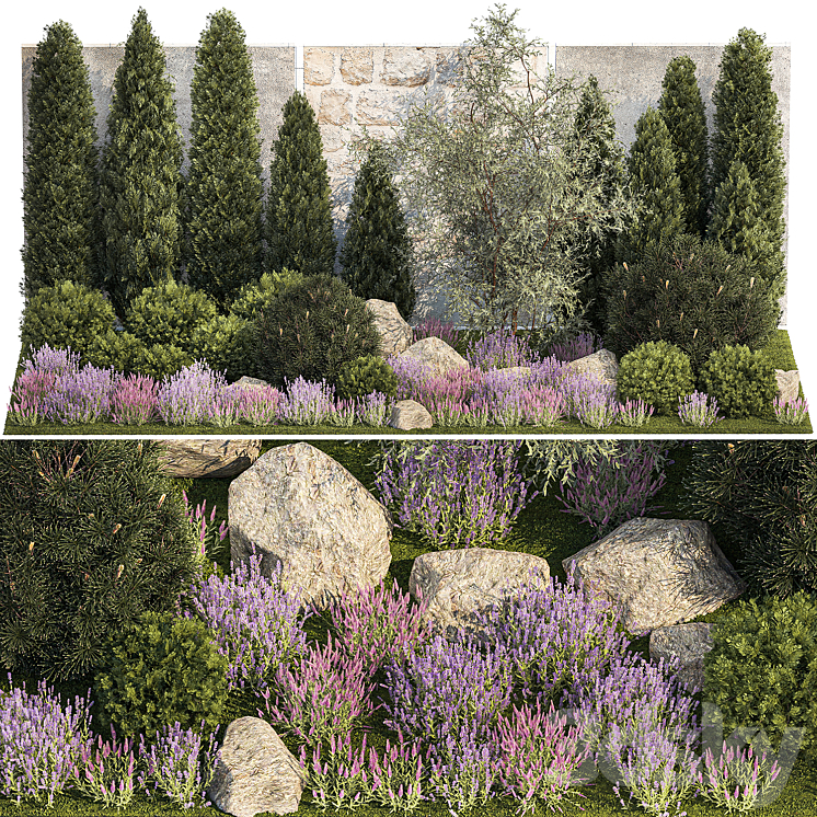 Beautiful garden with arborvitae and landscaping with pine cypress topiary boulder stones flowers and lavender sage bushes. 1265 3D Model