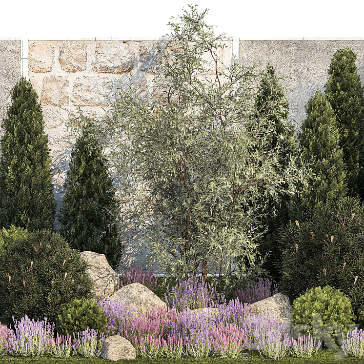 Beautiful garden with arborvitae and landscaping with pine cypress topiary boulder stones flowers and lavender sage bushes. 1265 3D Model