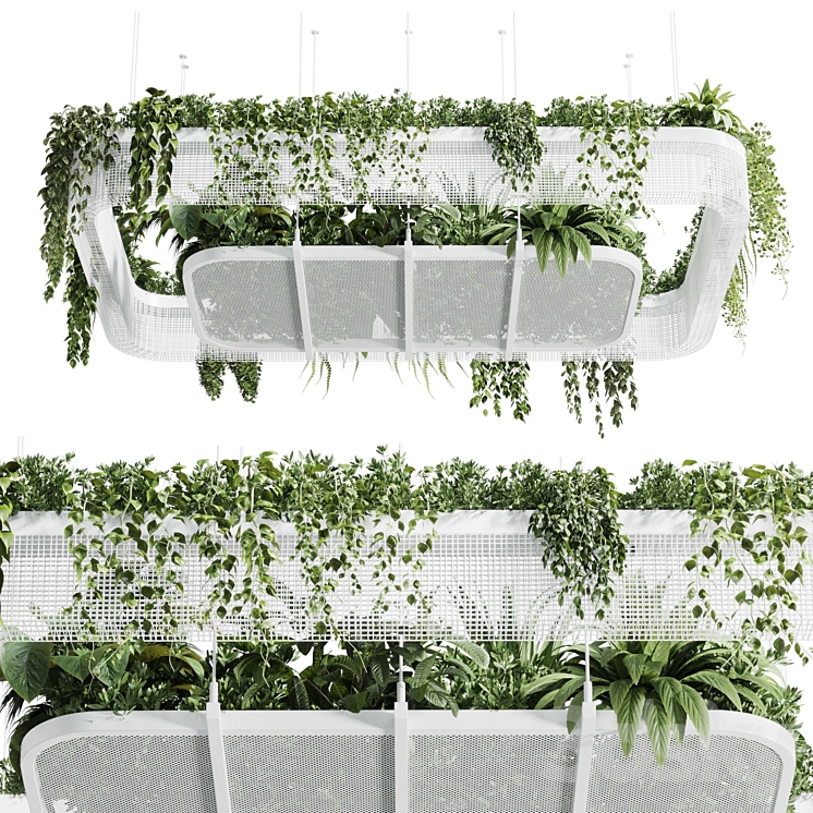 Hanging plants - indoor plant 323 vray 3DS Max
