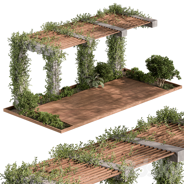 Pergola and Plant – Set 81 3D Model