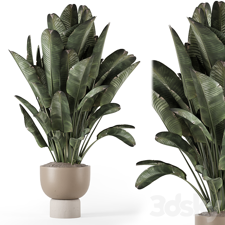 Indoor Plants in Ferm Living Bau Pot Large – Set 1507 3D Model