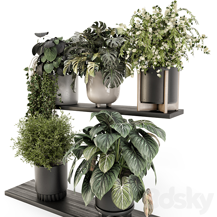 Indoor Plants in rusty Concrete Pot - Set 1512 3D Model Free