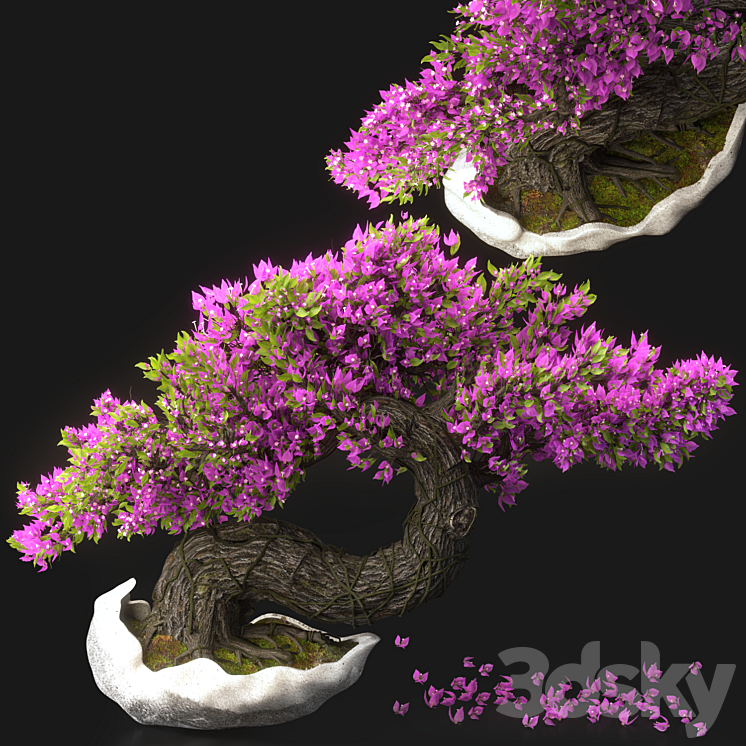 Bonsai Flower Set-13 3D Model