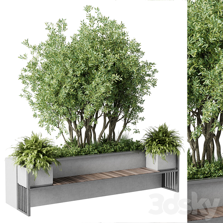 Urban Environment – Urban Furniture – Green Benches With tree 41 3D Model