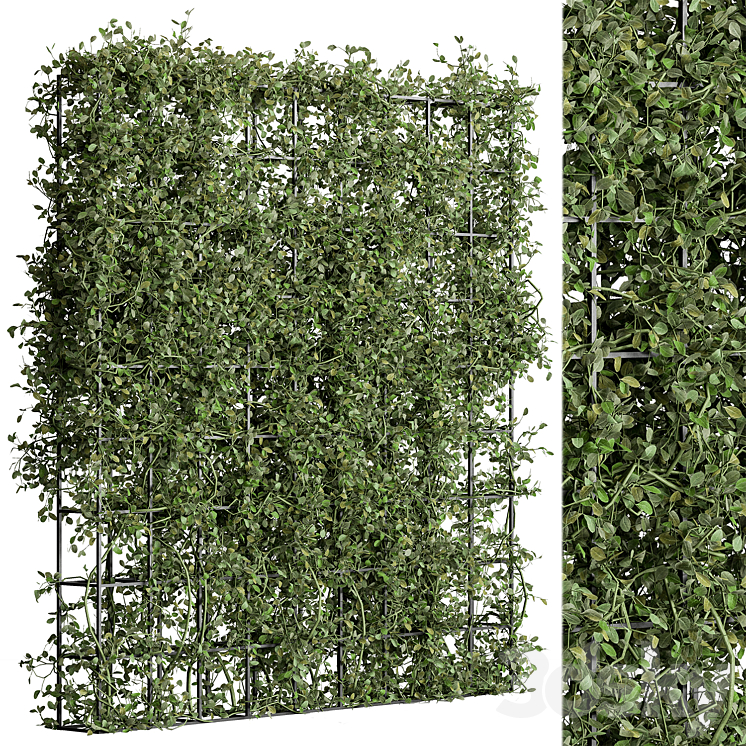 Vertical Garden Partiton – Set 81 3D Model