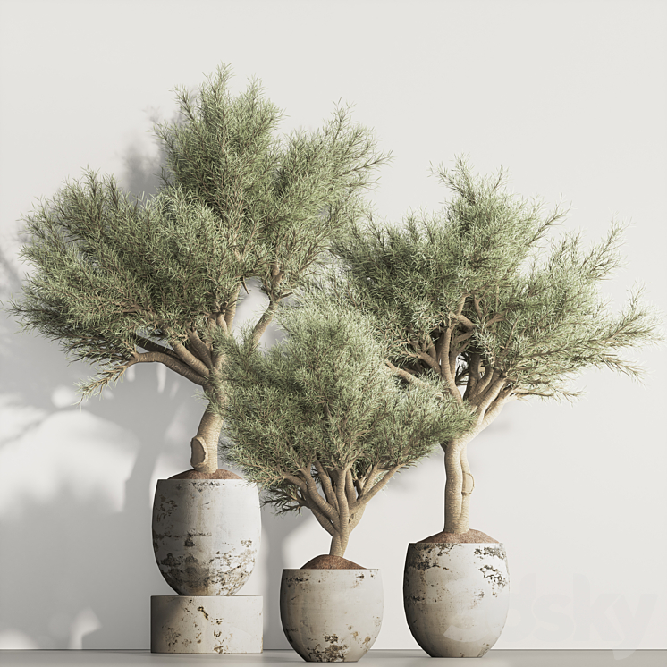 olive Tree and Indoor Plant Set 95 3DS Max Model - thumbnail 1