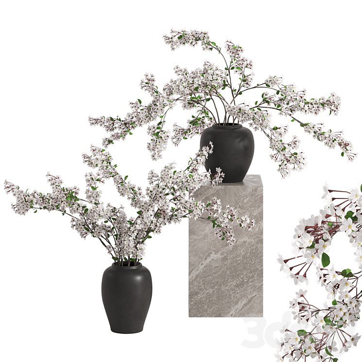 Vases with Branches White Cherry 3D Model