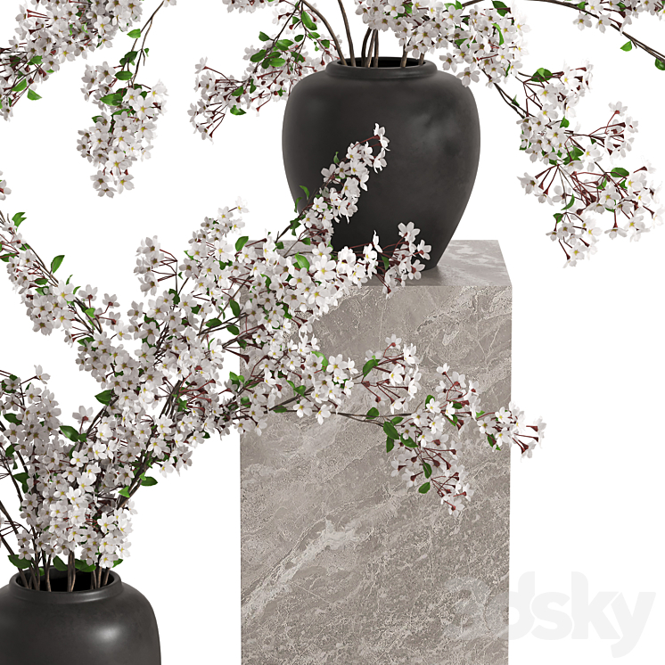 Vases with Branches White Cherry 3D Model