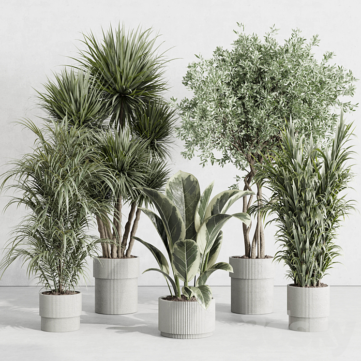 indoor plant set 414 plant ficus elastica tree palm bush concrete vase 3DS Max Model - thumbnail 1