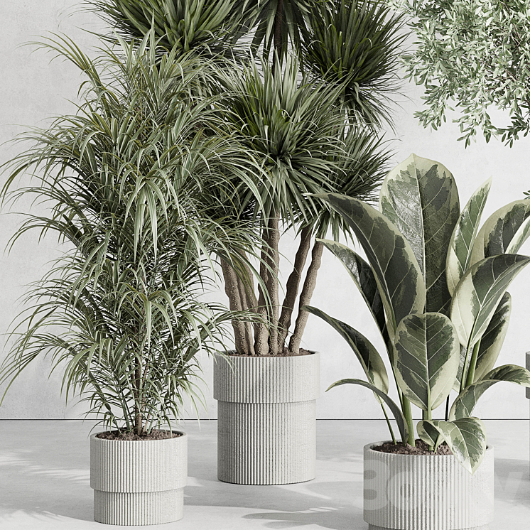 indoor plant set 414 plant ficus elastica tree palm bush concrete vase 3DS Max Model - thumbnail 2