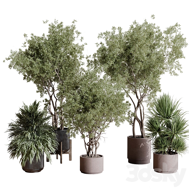 indoor plant set 408 plant tree palm bush concrete dirt vase vray 3DS Max Model - thumbnail 1