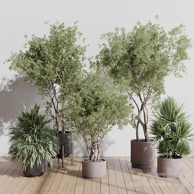 indoor plant set 408 plant tree palm bush concrete dirt vase vray 3DS Max Model - thumbnail 2