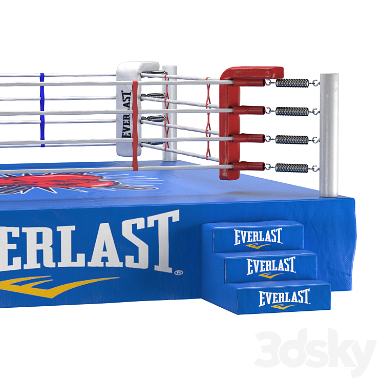 Everlast boxing ring 2025