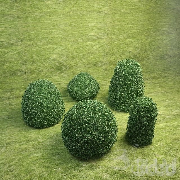 3 кустарников. Кусты для макета. Кустарники 3д. Куст 3d модель. Кустарник 3д модель.