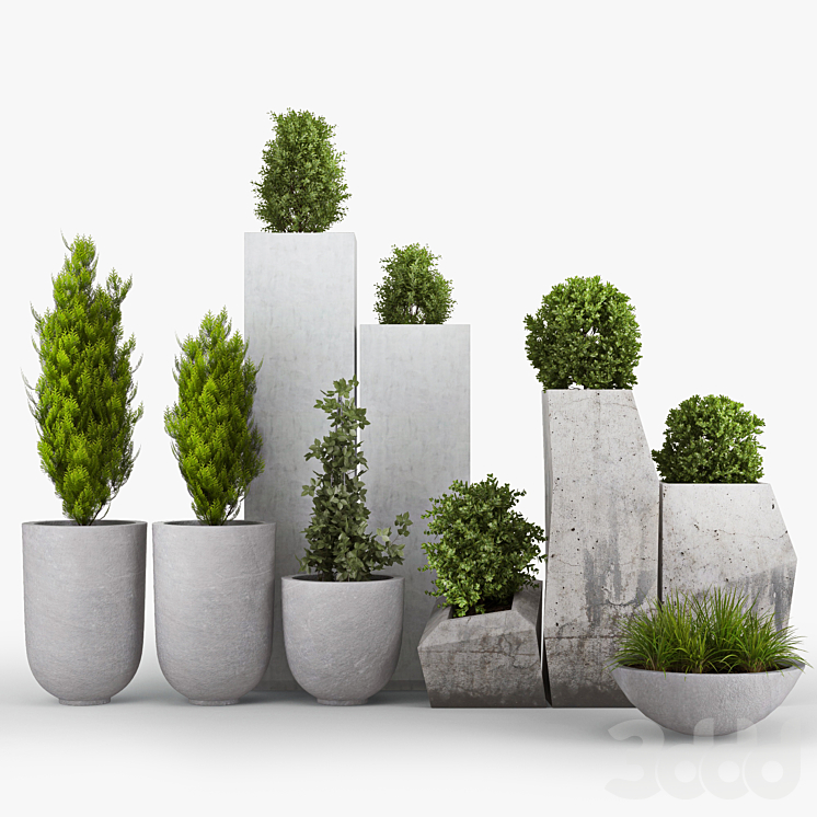 Plant modeling. Туя в вазоне. Куст в вазоне. Бетонные вазоны в Озеленение. Уличные кусты в горшках.