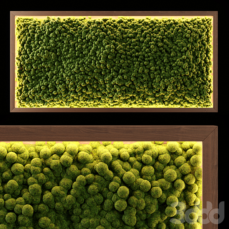 PhytoPanel - Фитостены - 3D модель